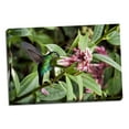 thumbnail image 1 of Gango Home Decor In Flight I by Larry Malvin (Ready to Hang); One 36x24in Hand-Stretched Canvas, 1 of 4