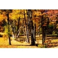 thumbnail image 1 of Gango Home Decor In the Meadow I by Alan Hausenflock (Printed on Paper); One 36x24in Fine Art Paper Giclee Print, 1 of 4