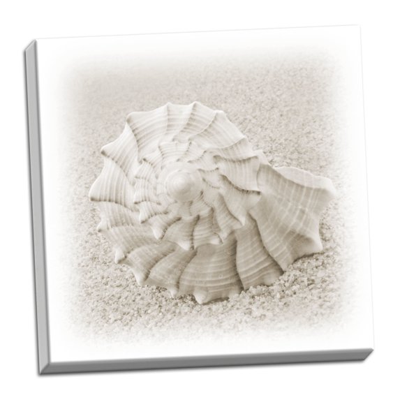 Gango Home Decor In the Sand I by Jim Christensen (Ready to Hang); One 24x24in Hand-Stretched Canvas