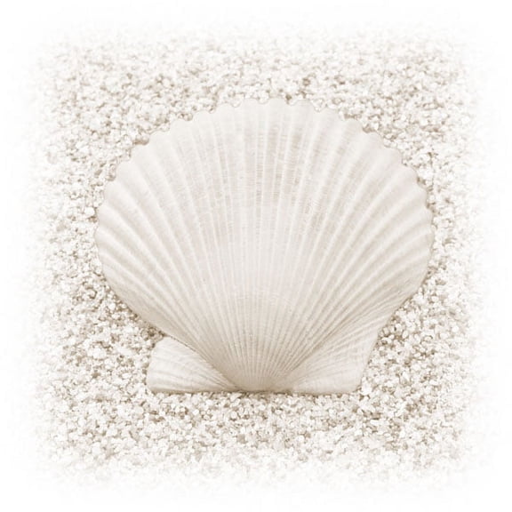 Gango Home Decor In the Sand II by Jim Christensen (Printed on Paper); One 24x24in Fine Art Paper Giclee Print