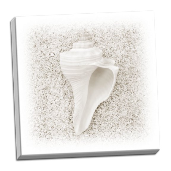 Gango Home Decor In the Sand IV by Jim Christensen (Ready to Hang); One 24x24in Hand-Stretched Canvas