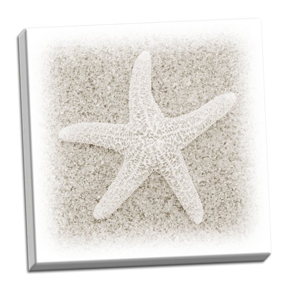 Gango Home Decor In the Sand V by Jim Christensen (Ready to Hang); One 24x24in Hand-Stretched Canvas