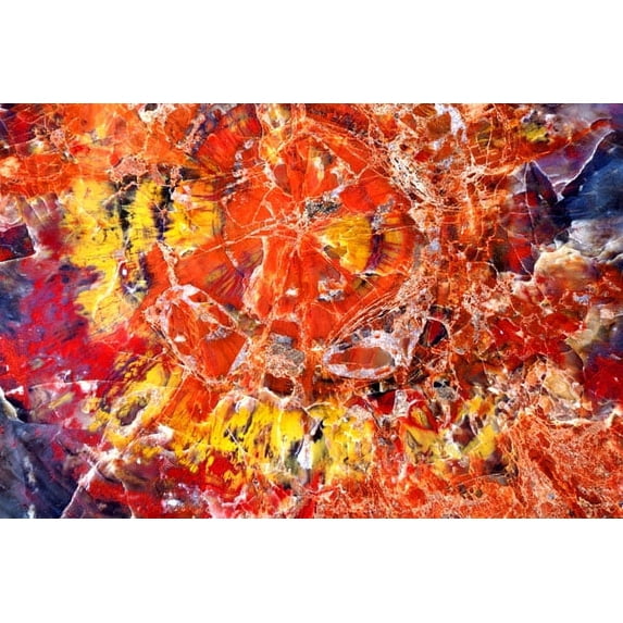 Gango Home Decor Kaleidoscope of Minerals by Douglas Taylor (Printed on Paper); One 36x24in Fine Art Paper Giclee Print