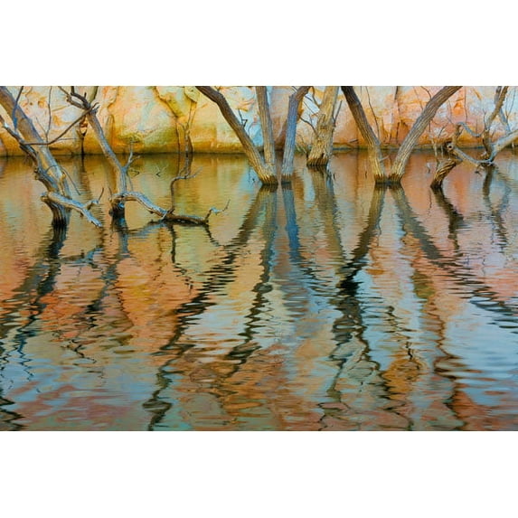 Gango Home Decor Lake Powell Reflections II by Kathy Mahan (Printed on Paper); One 36x24in Fine Art Paper Giclee Print