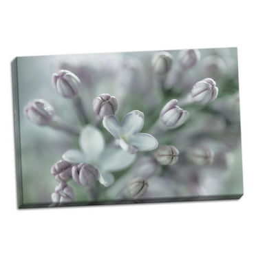 Gango Home Decor Lilac Blossom I by Kathy Mahan (Ready to Hang); One 36x24in Hand-Stretched Canvas
