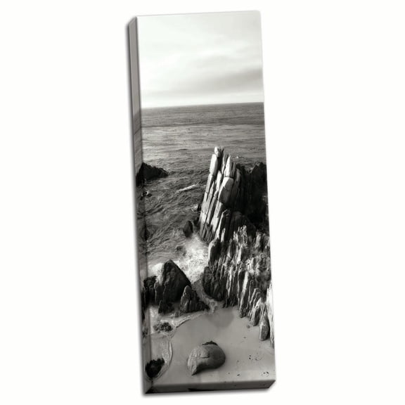Gango Home Decor Lovers Point Panel BW 4 by Alan Hausenflock (Ready to Hang); One 12x36in Hand-Stretched Canvas