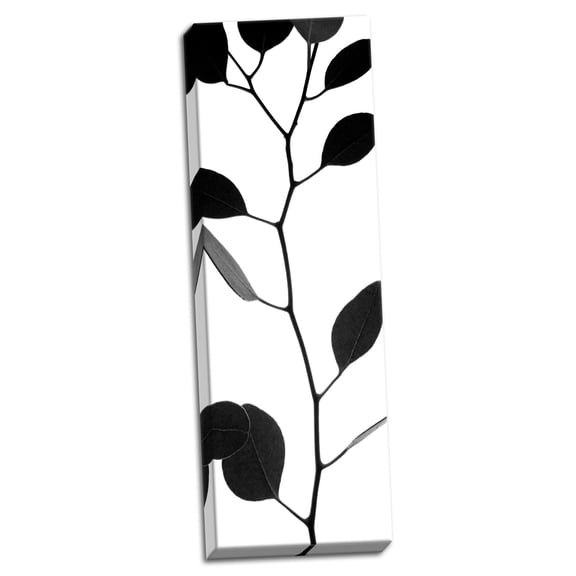 Gango Home Decor Lunaria Honesty I by Monika Burkhart (Ready to Hang); One 12x36in Hand-Stretched Canvas