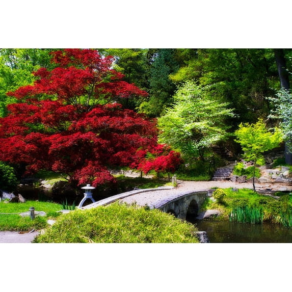 Gango Home Decor Meisho Garden II by Alan Hausenflock (Printed on Paper); One 36x24in Fine Art Paper Giclee Print
