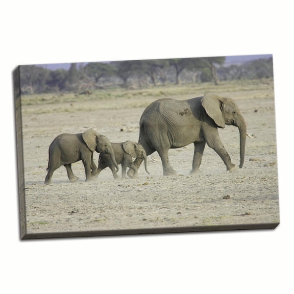 Gango Home Decor Memory Lane by Susann Parker (Ready to Hang); One 36x24in Hand-Stretched Canvas
