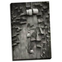 Gango Home Decor Menzanita Mozaic II BW by Vitaly Geyman (Ready to Hang); One 24x36in Hand-Stretched Canvas