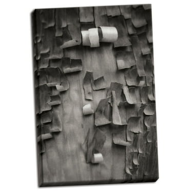 Gango Home Decor Menzanita Mozaic II BW by Vitaly Geyman (Ready to Hang); One 24x36in Hand-Stretched Canvas
