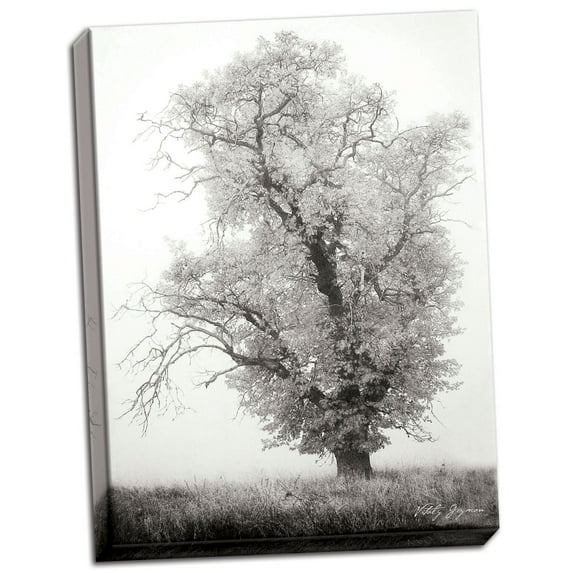 Gango Home Decor Misty Oak I B&W by Vitaly Geyman (Ready to Hang); One 18x24in Hand-Stretched Canvas