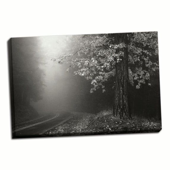 Gango Home Decor Misty Yellow Tree B&W by Vitaly Geyman (Ready to Hang); One 36x24in Hand-Stretched Canvas