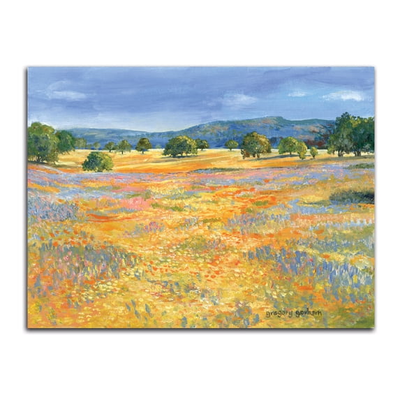 Gango Home Decor Modern California Valley by Gregory Gorham (Printed on Paper); One 20x16in Fine Art Paper Giclee Print