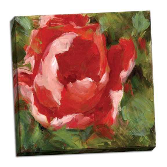Gango Home Decor Modern Tulip by Annie Salness (Ready to Hang); One 12x12in Hand-Stretched Canvas