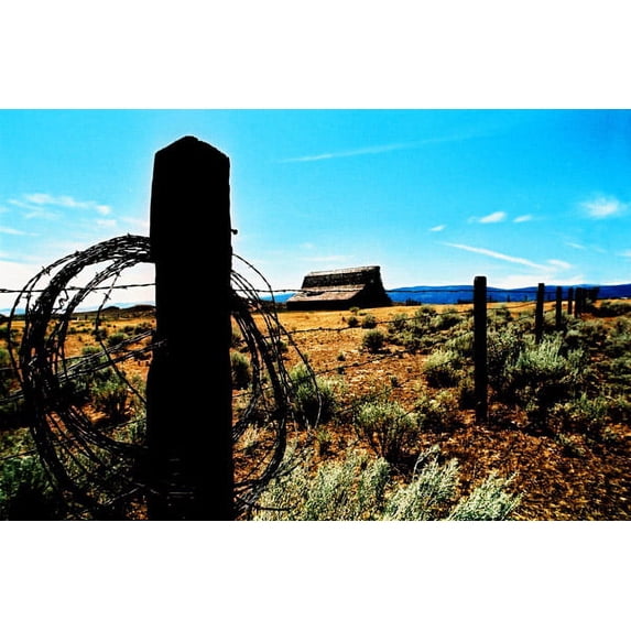 Gango Home Decor Mountain Summer II by Erin Berzel (Printed on Paper); One 36x24in Fine Art Paper Giclee Print