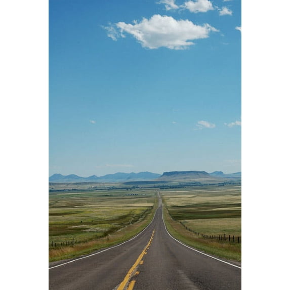 Gango Home Decor Mountain Summer V by Erin Berzel (Printed on Paper); One 24x36in Fine Art Paper Giclee Print
