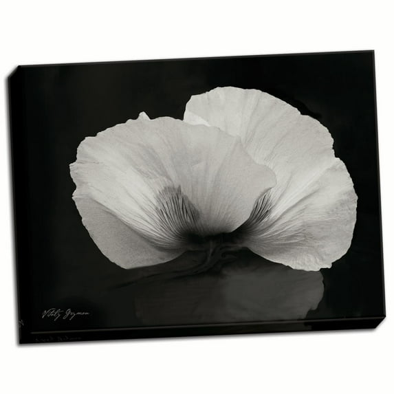 Gango Home Decor Night Poppy II by Vitaly Geyman (Ready to Hang); One 24x18in Hand-Stretched Canvas