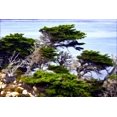 thumbnail image 1 of Gango Home Decor North Point 1 by Alan Hausenflock (Printed on Paper); One 36x24in Fine Art Paper Giclee Print, 1 of 4