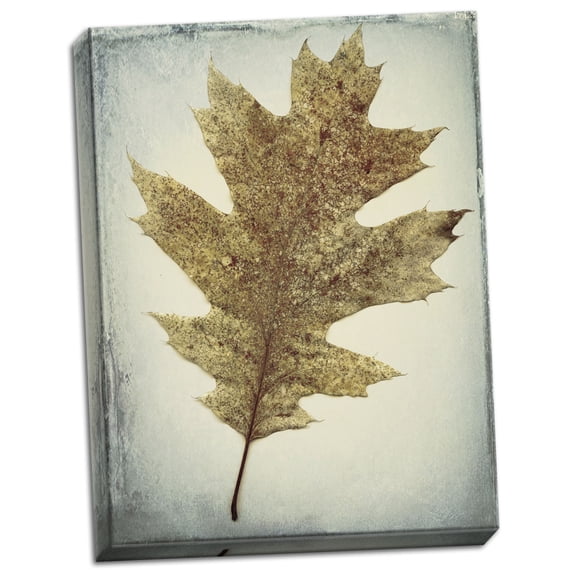 Gango Home Decor Oak Leaf by Kathy Mahan (Ready to Hang); One 18x24in Hand-Stretched Canvas