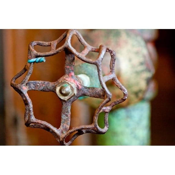Gango Home Decor Open and Shut by Dana Styber (Printed on Paper); One 36x24in Fine Art Paper Giclee Print