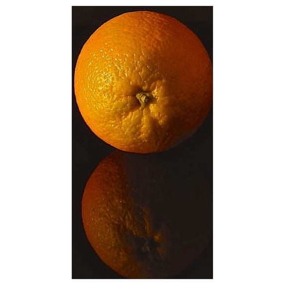 Gango Home Decor Orange Reflections by Monika Burkhart (Printed on Paper); One 18x24in Fine Art Paper Giclee Print