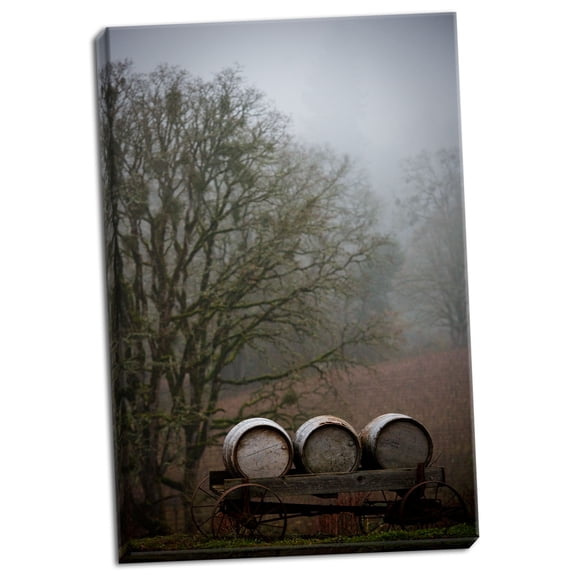 Gango Home Decor Oregon Wine Country I by Erin Berzel (Ready to Hang); One 24x36in Hand-Stretched Canvas