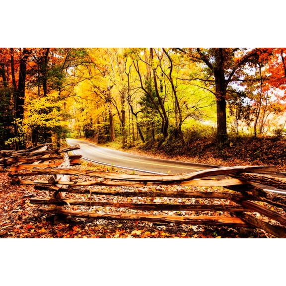 Gango Home Decor Overcast Afternoon by Alan Hausenflock (Printed on Paper); One 36x24in Fine Art Paper Giclee Print