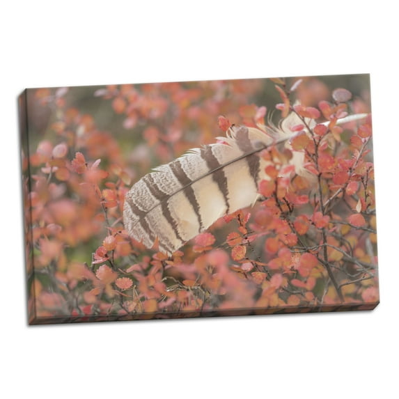 Gango Home Decor Owl Feather by Kathy Mahan (Ready to Hang); One 36x24in Hand-Stretched Canvas