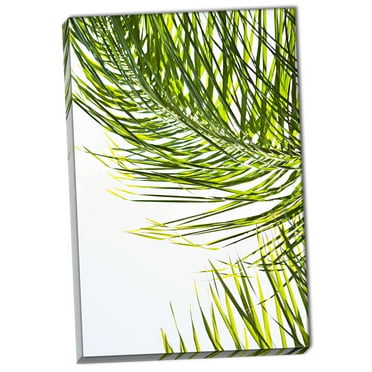 Gango Home Decor Palms in the Sun II by Karyn Millet (Ready to Hang); One 24x36in Hand-Stretched Canvas