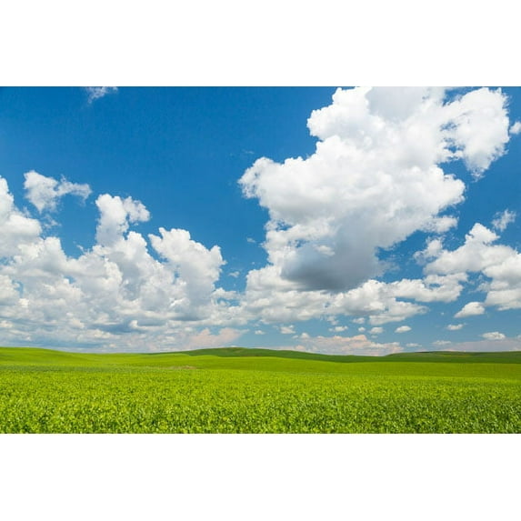 Gango Home Decor Palouse Farm II by Kathy Mahan (Printed on Paper); One 36x24in Fine Art Paper Giclee Print