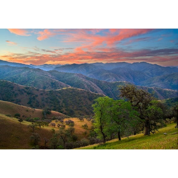 Gango Home Decor Pastel in Nature II by Mark Geistweite (Printed on Paper); One 36x24in Fine Art Paper Giclee Print