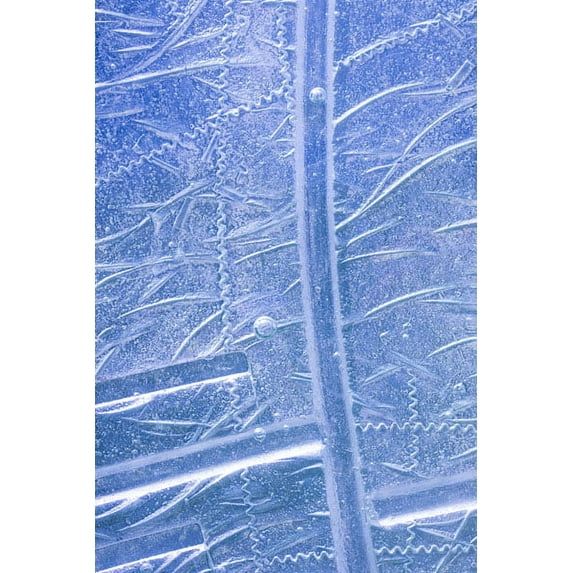 Gango Home Decor Patterns in Glass I by Kathy Mahan (Printed on Paper); One 24x36in Fine Art Paper Giclee Print