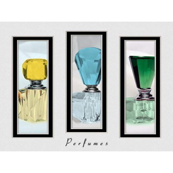 Gango Home Decor Perfume Triptych IV by C. Thomas McNemar (Printed on Paper); One 24x18in Fine Art Paper Giclee Print