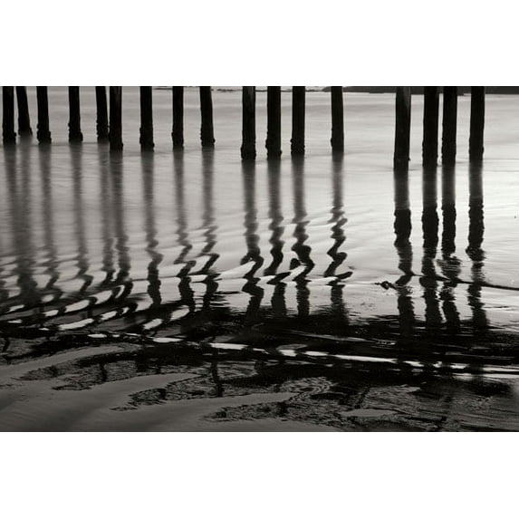 Gango Home Decor Pier Pilings 14 by Lee Peterson (Printed on Paper); One 36x24in Fine Art Paper Giclee Print