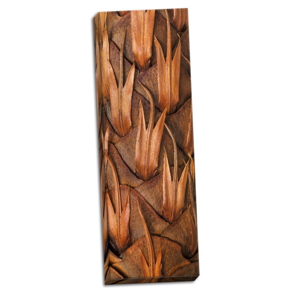 Gango Home Decor Pine Cone VI by Kathy Mahan (Ready to Hang); One 12x36in Hand-Stretched Canvas