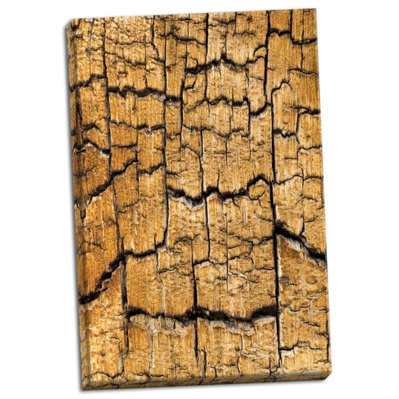 Gango Home Decor Pine Patterns I by Kathy Mahan (Ready to Hang); One 24x36in Hand-Stretched Canvas