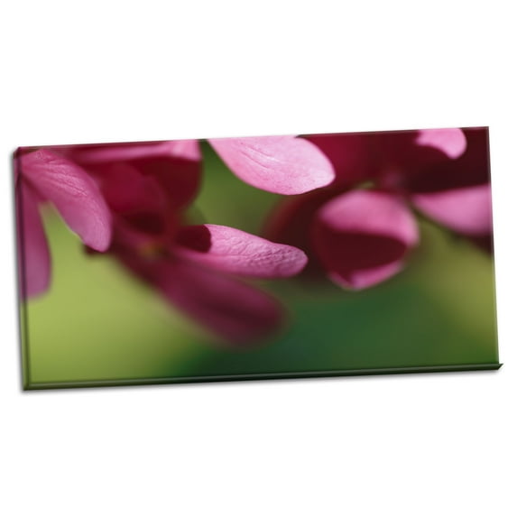 Gango Home Decor Pink Hydrangeas II by Rita Crane (Ready to Hang); One 36x18in Hand-Stretched Canvas