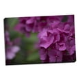thumbnail image 1 of Gango Home Decor Pink Hydrangeas II by Rita Crane (Ready to Hang); One 36x24in Hand-Stretched Canvas, 1 of 4