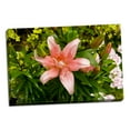 thumbnail image 1 of Gango Home Decor Pink Lily by George Johnson (Ready to Hang); One 36x24in Hand-Stretched Canvas, 1 of 4