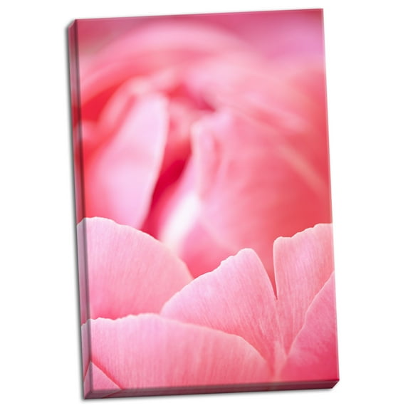 Gango Home Decor Pink Peony I by Karyn Millet (Ready to Hang); One 24x36in Hand-Stretched Canvas