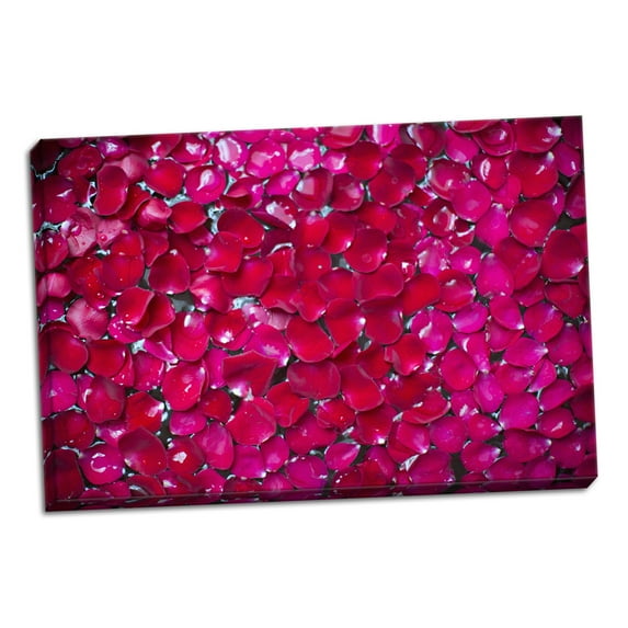 Gango Home Decor Pink Petals II by Karyn Millet (Ready to Hang); One 36x24in Hand-Stretched Canvas