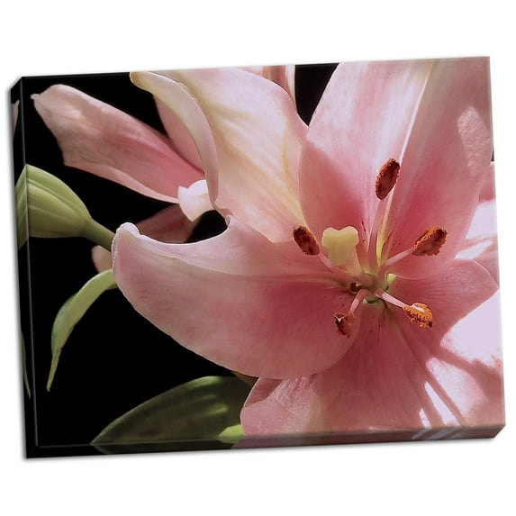 Gango Home Decor Pink Translucence III by Monika Burkhart (Ready to Hang); One 28x22in Hand-Stretched Canvas