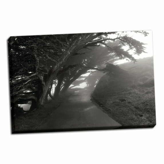 Gango Home Decor Point Reyes I by George Johnson (Ready to Hang); One 36x24in Hand-Stretched Canvas