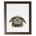 thumbnail image 1 of Gango Home Decor Rabbit II; One 11x14in Art Print in Brown Frame, 1 of 3