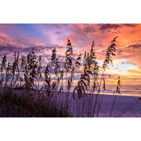 Gango Home Decor Ragged Sunrise III by Alan Hausenflock (Printed on Paper); One 36x24in Fine Art Paper Giclee Print