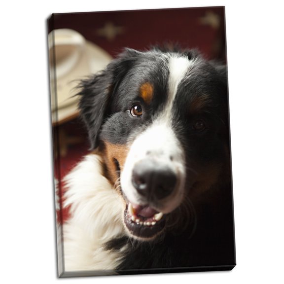 Gango Home Decor Ranch Dog by Karyn Millet (Ready to Hang); One 24x36in Hand-Stretched Canvas
