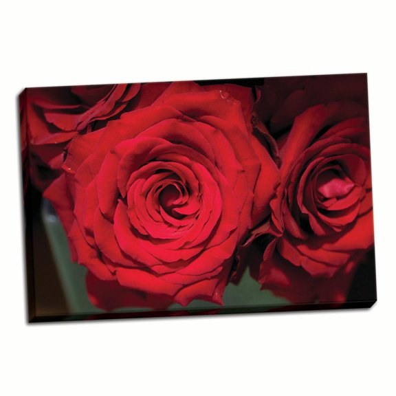 Gango Home Decor Red Roses by Erin Berzel (Ready to Hang); One 36x24in Hand-Stretched Canvas