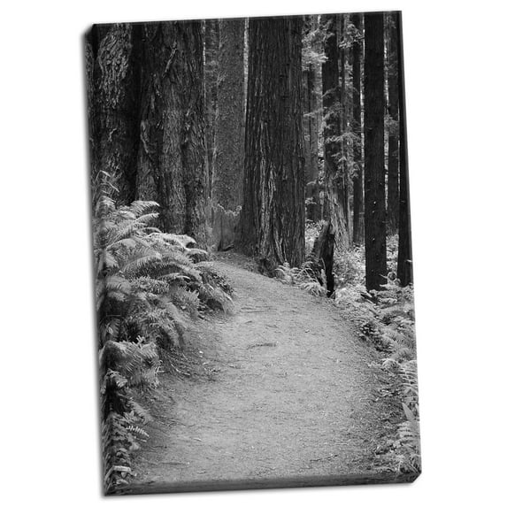 Gango Home Decor Redwood Path II by Vitaly Geyman (Ready to Hang); One 24x36in Hand-Stretched Canvas