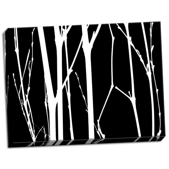 Gango Home Decor Reverse Silhouette I by Monika Burkhart (Ready to Hang); One 24x18in Hand-Stretched Canvas
